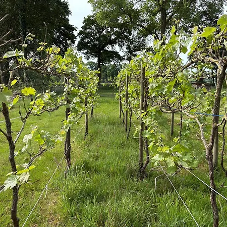 Boutique Tent 'pruum' Op Unieke Plek In Het Met Luxe Bed Lyxtält