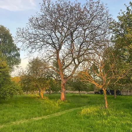 Boutique Tent 'pruum' Op Unieke Plek In Het Met Luxe Bed Lyxtält *