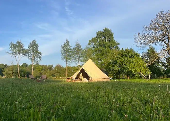 Boutique Tent 'pruum' Op Unieke Plek In Het Met Luxe Bed خيمة فخمة