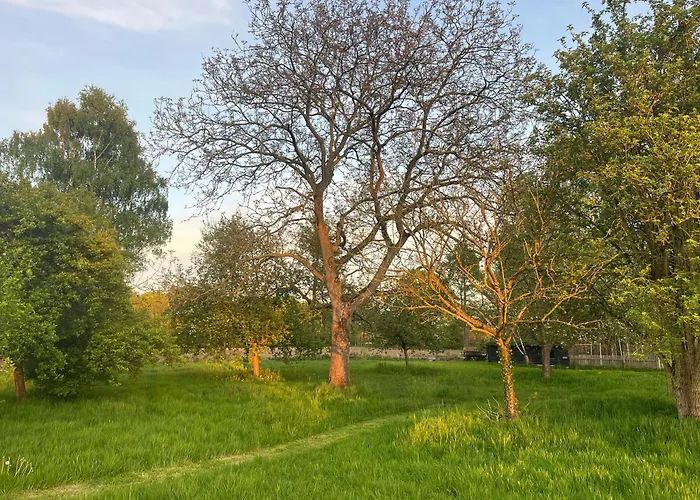 Boutique Tent 'pruum' Op Unieke Plek In Het Met Luxe Bed خيمة فخمة *